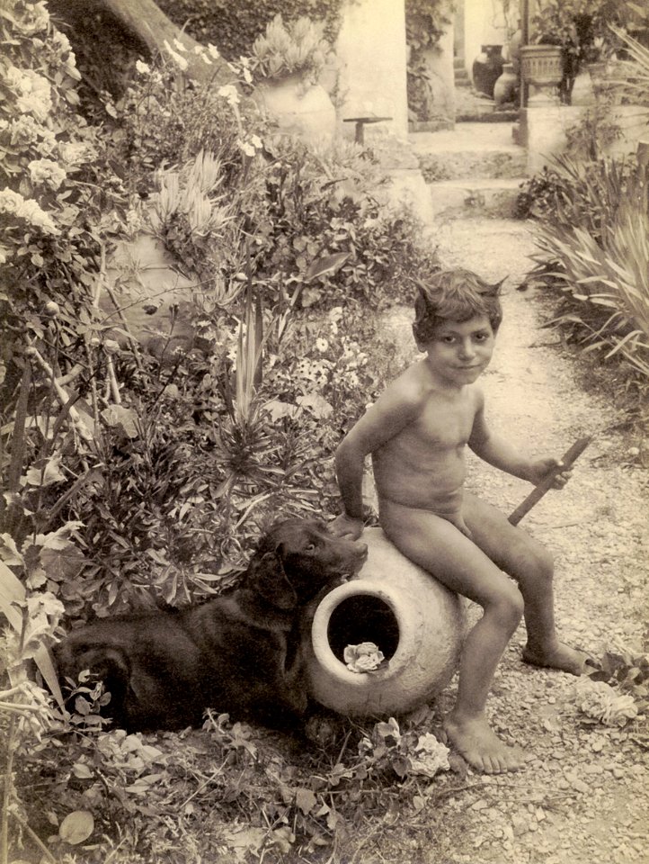 Gloeden, Wilhelm von (1856-1931) - n. 1442 - Nude boy and dog in garden