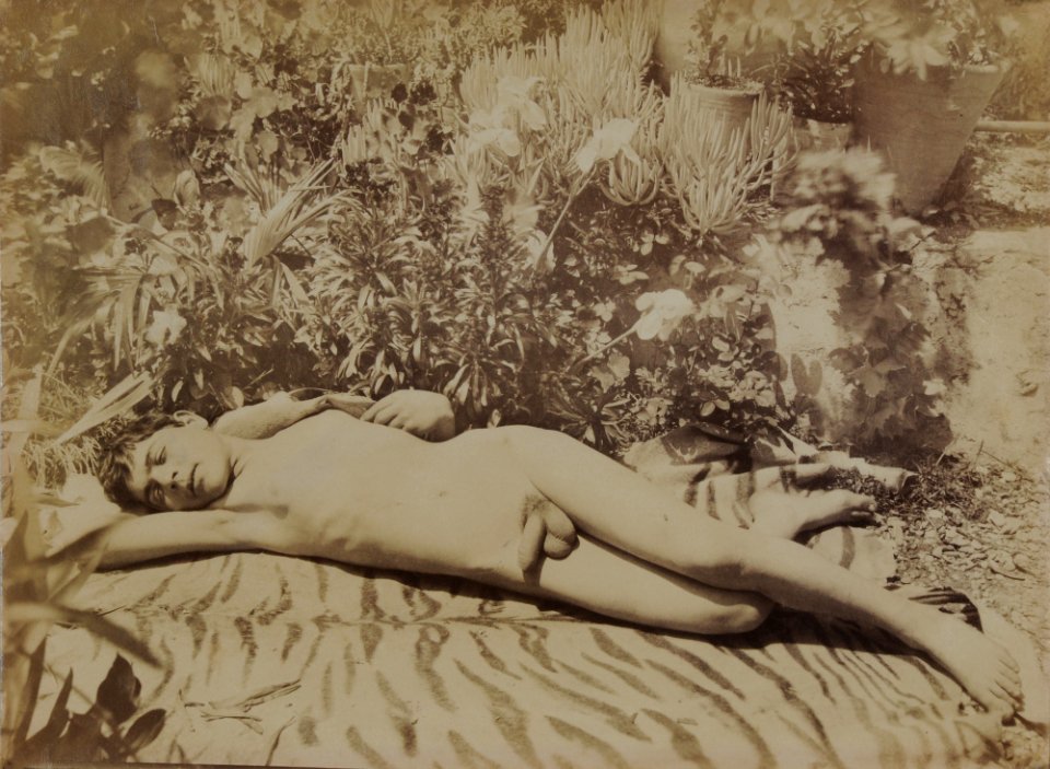 Gloeden, Wilhelm von (1856-1931) - n. 0998 - Laying nude boy - Germann auctions