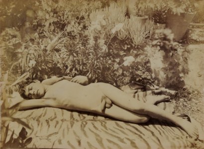 Gloeden, Wilhelm von (1856-1931) - n. 0998 - Laying nude boy - Germann auctions