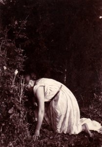 Gloeden, Wilhelm von (1856-1931) - n. 1046 recto - Native American woman - 11-3-1899 - ex Texbraun Collection, Galerie David Guiraud, Paris
