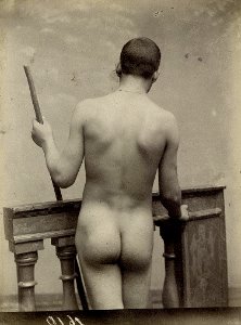 Gloeden, Wilhelm von (1856-1931) - n. 1610