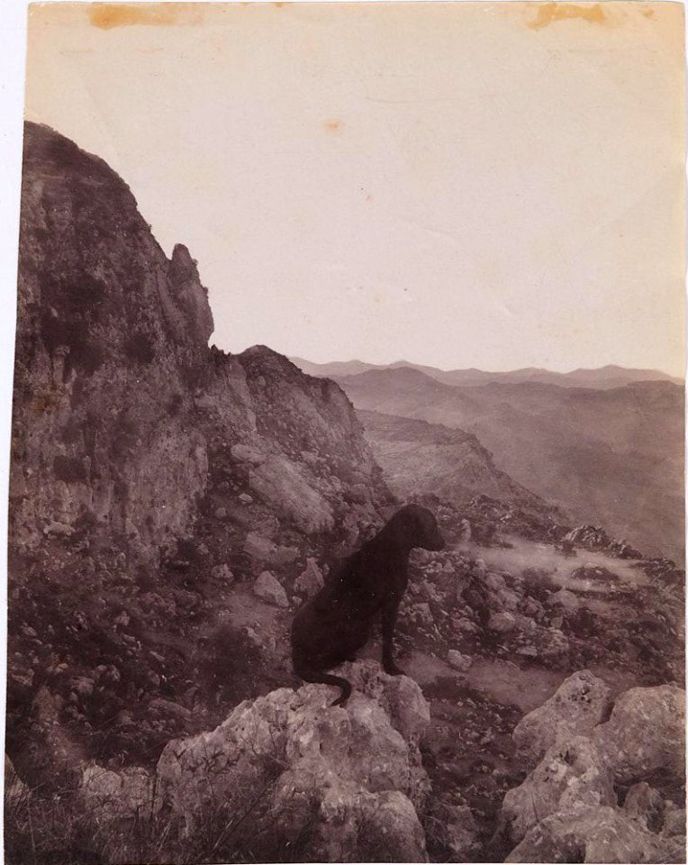 Gloeden, Wilhelm von (1856-1931) - n. 1688 recto