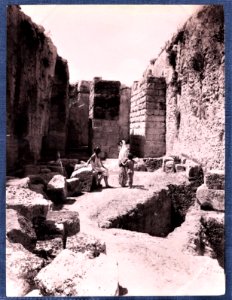 Gloeden, Wilhelm von (1856-1931) - n. 1576 recto - Siracusa, fossato del Castello Eurialo