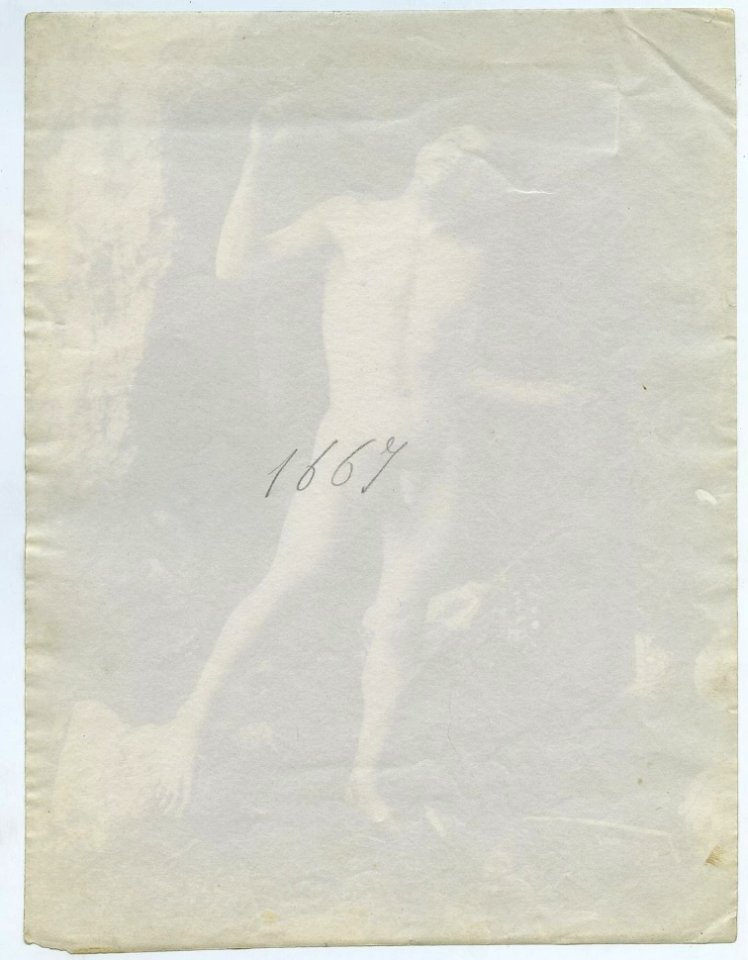 Gloeden, Wilhelm von (1856-1931) - n. 1667 verso - 22,5 x 16,5 cm - Galerie Drout - già in Galdi secret