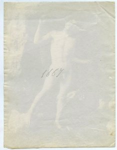 Gloeden, Wilhelm von (1856-1931) - n. 1667 verso - 22,5 x 16,5 cm - Galerie Drout - già in Galdi secret