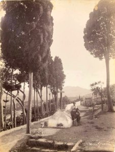 Gloeden, Wilhelm von (1856-1931) - n. 2485 recto - Via Luigi Pirandello). Cm 17x22. Aste LaRosa