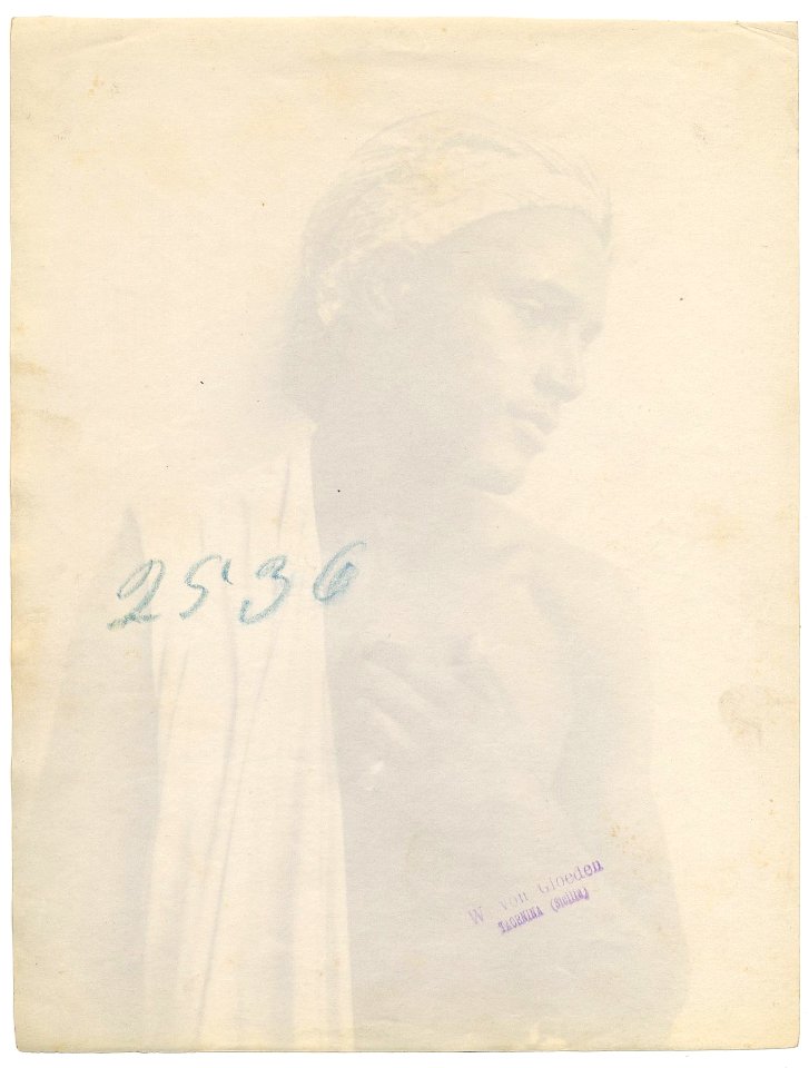 Gloeden, Wilhelm von (1856-1931) - n. 2536 v