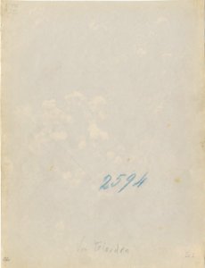 Gloeden, Wilhelm von (1856-1931) - n. 2594 - Giara con fiori - Sehnsucht p.72 - ex collection Levy - verso