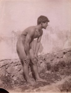 Gloeden, Wilhelm von (1856-1931) - n. 49