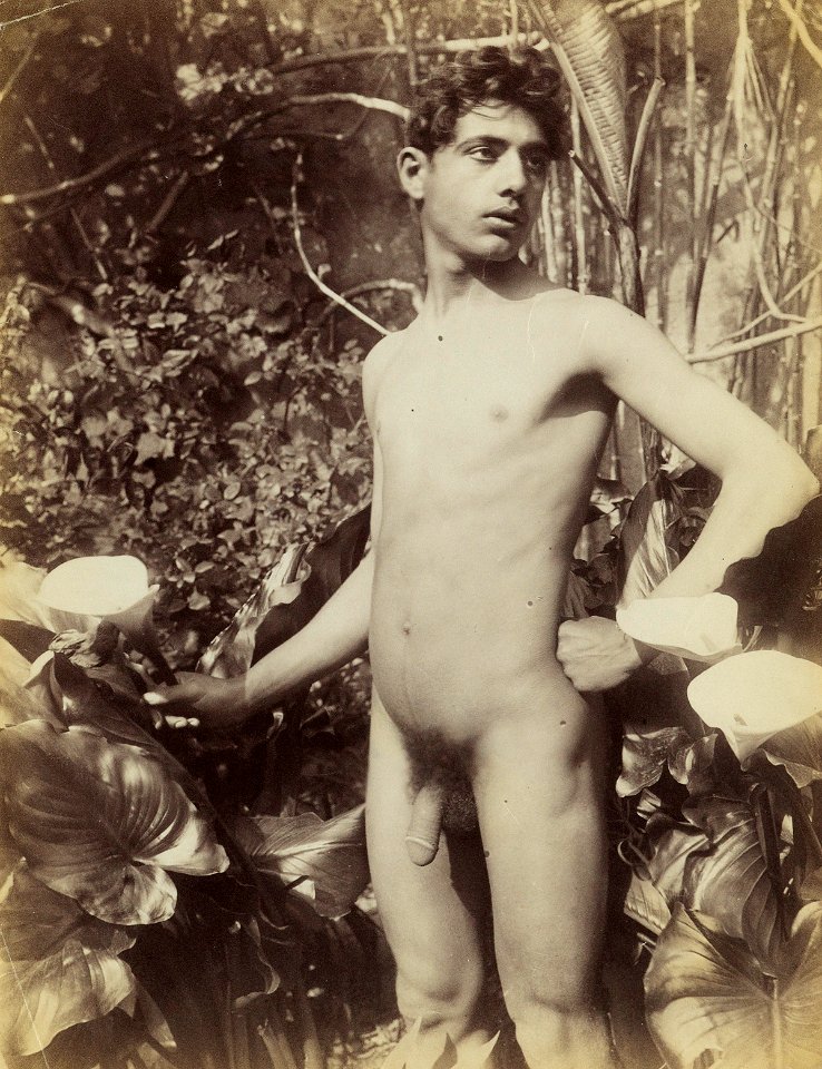 Gloeden, Wilhelm von (1856-1931) - n. 2191 - datato 1903 - da - Auch ich in Arkadien, p. 131