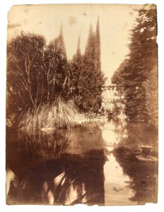 Gloeden, Wilhelm von (1856-1931) - n. G 0151 A recto - Villa Tasca Palermo. Cm 39x29. Aste LaRosa