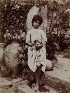 Gloeden, Wilhelm von (1856-1931) - n. 2412 - Rosalia Buciunì con fiori, cm 22x16,2
