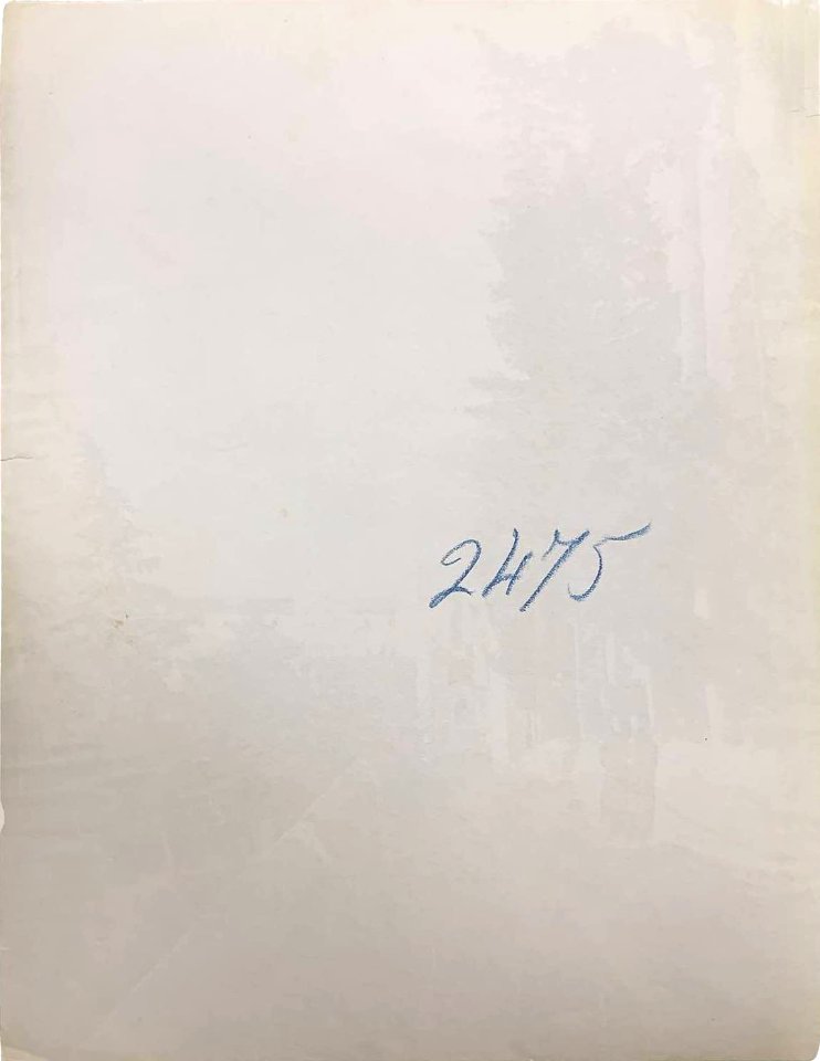 Gloeden, Wilhelm von (1856-1931) - n. 2475 verso. Cm 17x22. Aste LaRosa