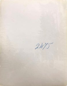 Gloeden, Wilhelm von (1856-1931) - n. 2475 verso. Cm 17x22. Aste LaRosa