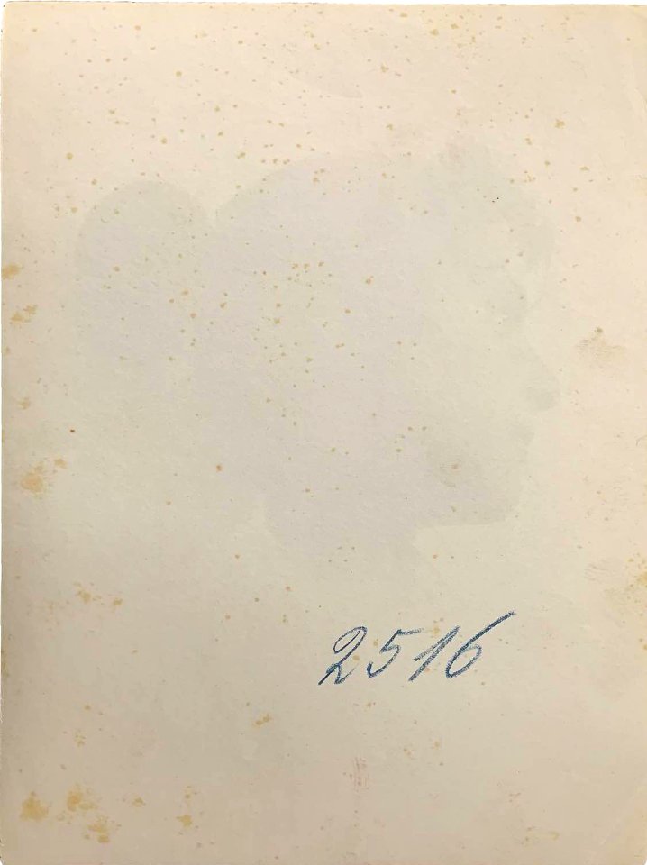 Gloeden, Wilhelm von (1856-1931) - n. 2516 verso Cm 17x22. Aste LaRosa