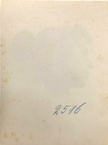 Gloeden, Wilhelm von (1856-1931) - n. 2516 verso Cm 17x22. Aste LaRosa