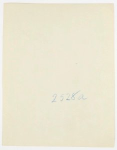 Gloeden, Wilhelm von (1856-1931) - n. 2528a verso