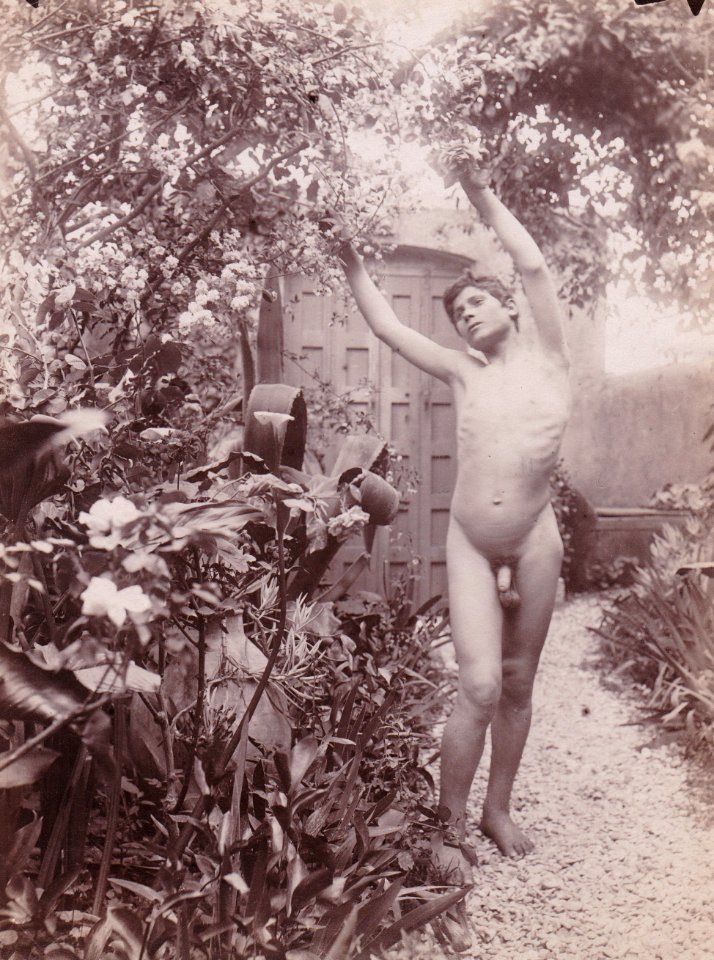 Gloeden, Wilhelm von (1856-1931) - n. 2086 - 23 Feb. 1904 - ex Texbraun Collection, Galerie David Guiraud, Paris - recto