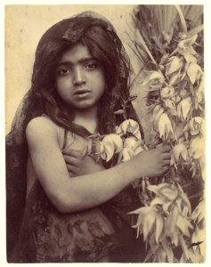 Gloeden, Wilhelm von (1856-1931) - n. 2126 - Deponirt 18 Nov 1903 - Metropolitan museum