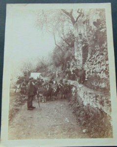 Gloeden, Wilhelm von (1856-1931) - n. 2615 recto - Capraio - Timbrata, cm 18x24