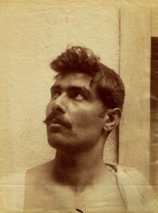 Gloeden, Wilhelm von (1856-1931) - n. 2419 recto - cm 23x17