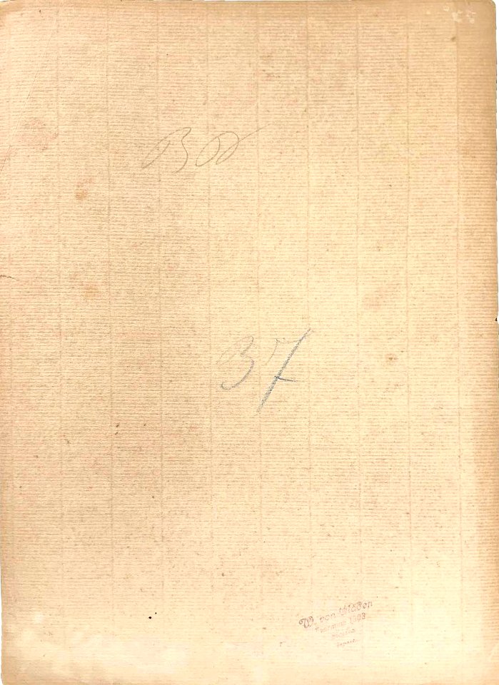 Gloeden, Wilhelm von (1856-1931) - n. G 0037 verso - Aste LaRosa
