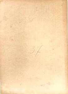 Gloeden, Wilhelm von (1856-1931) - n. G 0037 verso - Aste LaRosa