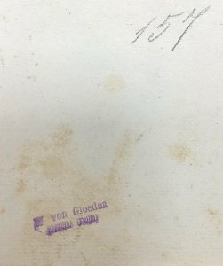 Gloeden, Wilhelm von (1856-1931) - n. G 0157 verso, Giovane nubiano, cm 39x26 - Finarte dett