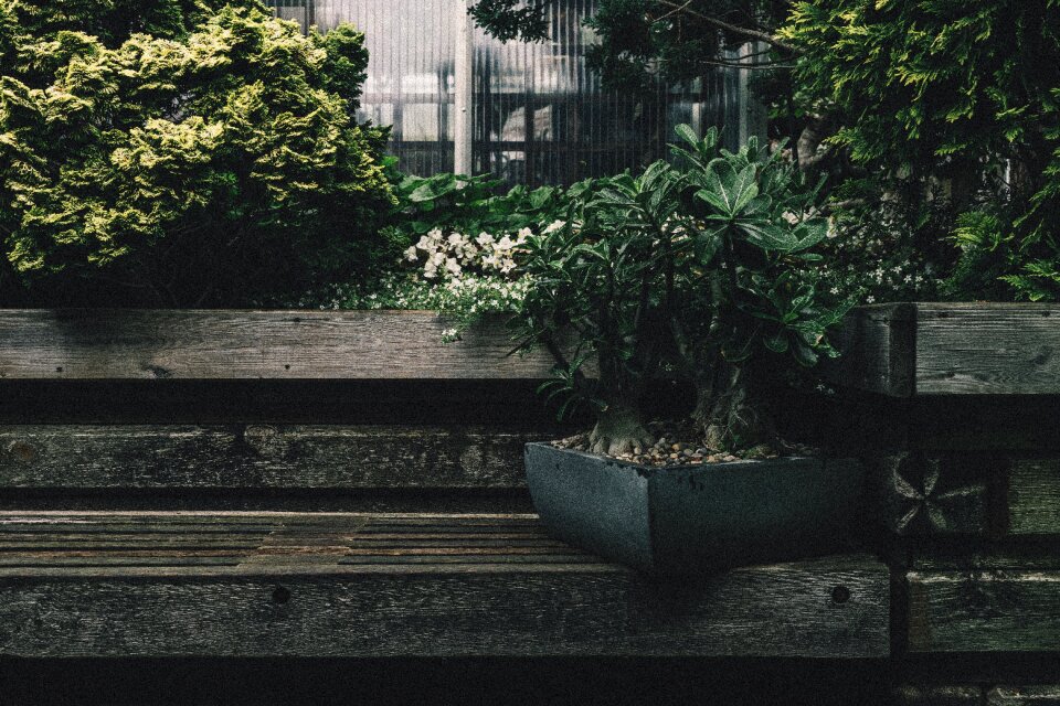 Flower backyard bench