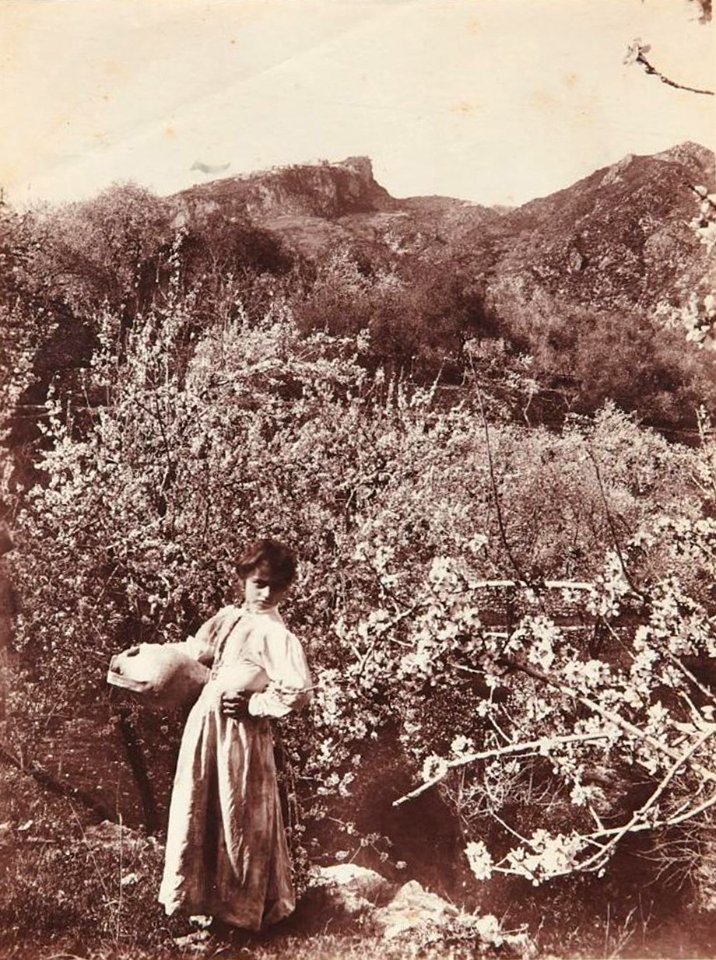 Gloeden, Wilhelm von (1856-1931) - n. 2635 recto - Bambina e mandorli in fiore - Millea bros auctions
