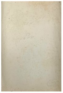 Gloeden, Wilhelm von (1856-1931) - n. G 0053 verso, cm 39 x26, Finarte