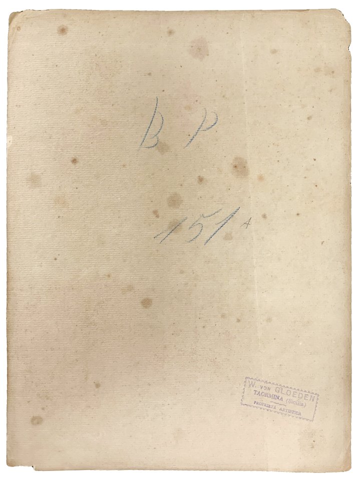 Gloeden, Wilhelm von (1856-1931) - n. G 0151 A verso - Villa Tasca Palermo. Cm 39x29. Aste LaRosa