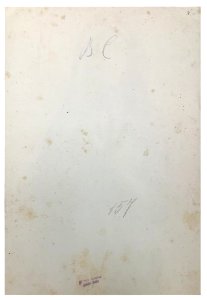 Gloeden, Wilhelm von (1856-1931) - n. G 0157 verso, 'Giovane nubiano', cm 39x26 - Finarte
