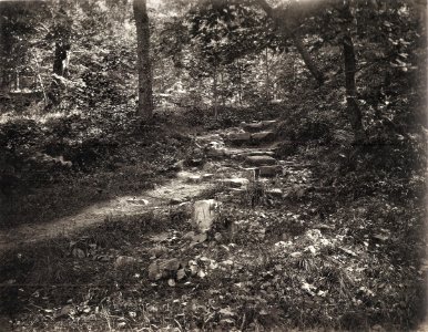 GM Eckert - NS, Felsiger Weg im Wald, Heidelberg 1866-68 (ZBm286)