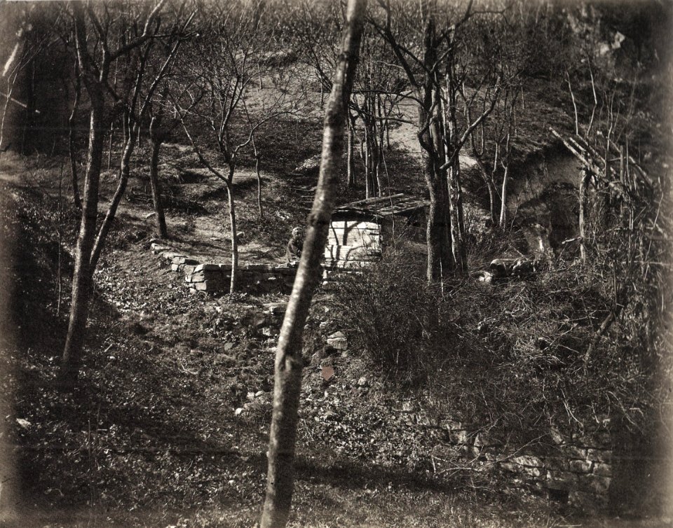 GM Eckert - NS, Waldwege bei Heidelberg ca1866 (ZBm290)