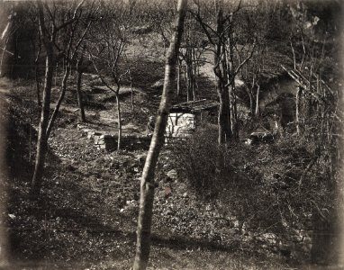 GM Eckert - NS, Waldwege bei Heidelberg ca1866 (ZBm290)
