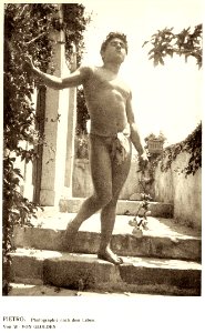 Gloeden, Wilhem von (1856-1931) - n. 0762 - Pietro SchönheitBd2-1904-p.711