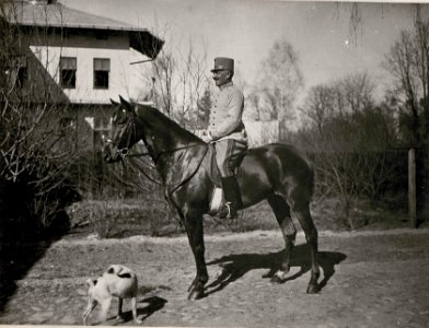 GO.Freiherr Pflanzer-Baltin (BildID 15719778)