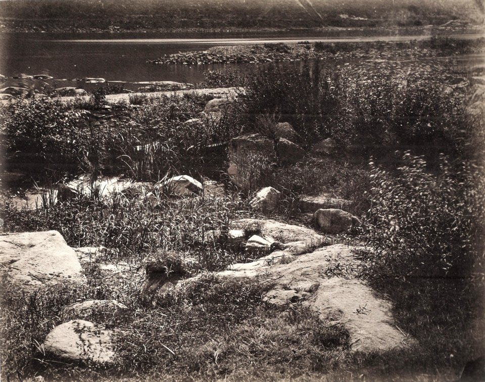 GM Eckert - NS, Felsen mit Schilfgras am Neckar bei Heidelberg ca1866 (ZBm289)