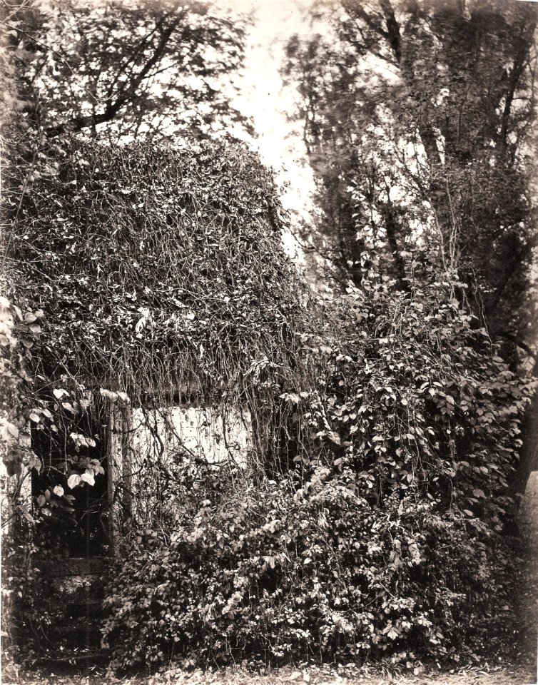 GM Eckert - NS, Mittelgrundstück - Brunnenhäuschen mit wildem Wein bewachsen, Heidelberg 1866-68 (ZBm287)