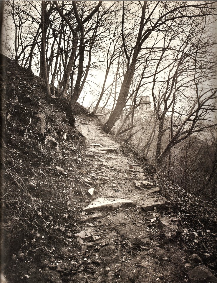 GM Eckert - NS, steiler felsiger Waldweg mit Blick aufs Heidelberger Schloss 1866-68 (ZBm291a)