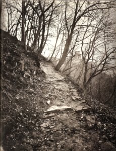GM Eckert - NS, steiler felsiger Waldweg mit Blick aufs Heidelberger Schloss 1866-68 (ZBm291a)