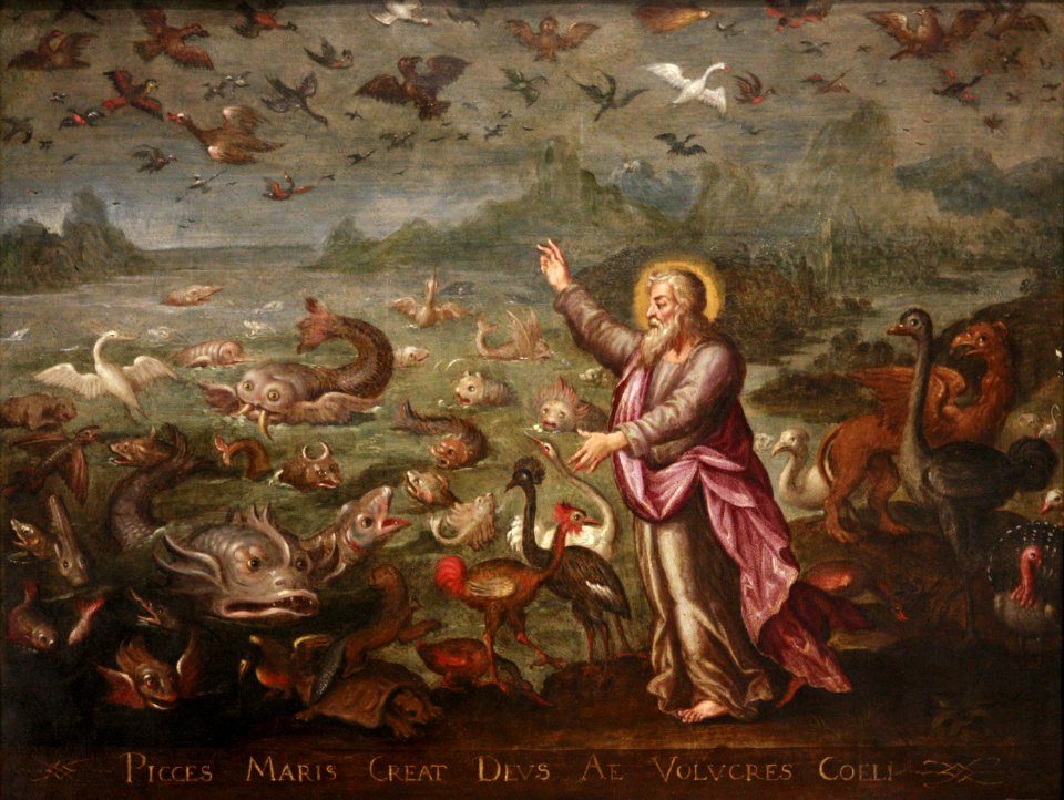 God creating the birds and the fishes mg 0018