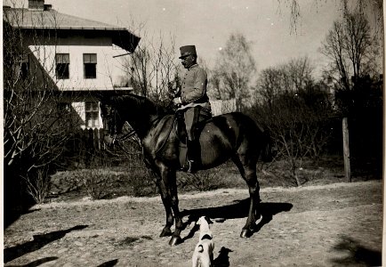 GO.Freiherr Pflanzer-Baltin (BildID 15719764)
