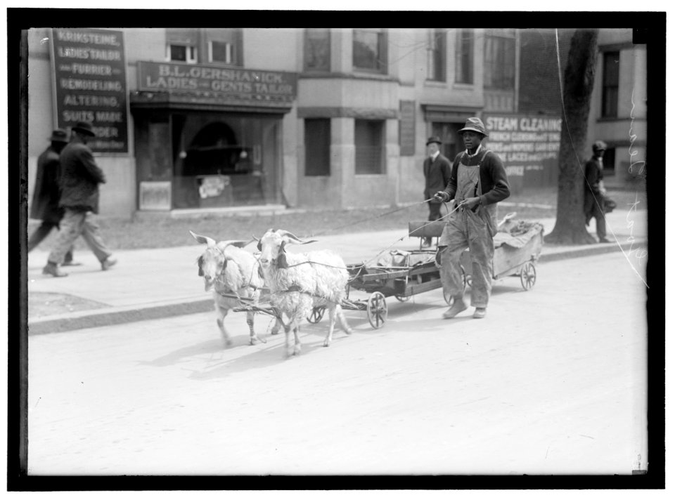 GOAT TEAM LOC hec.07574