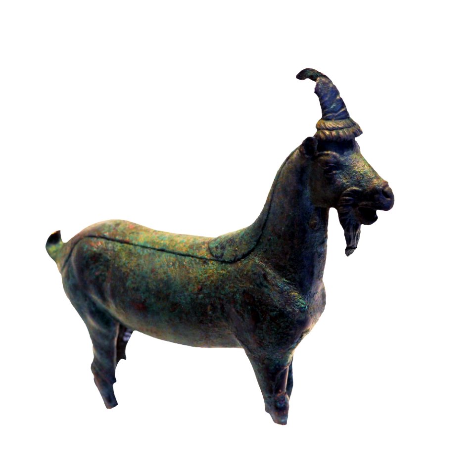 Goat-MAHG C 1165-P6130564-white
