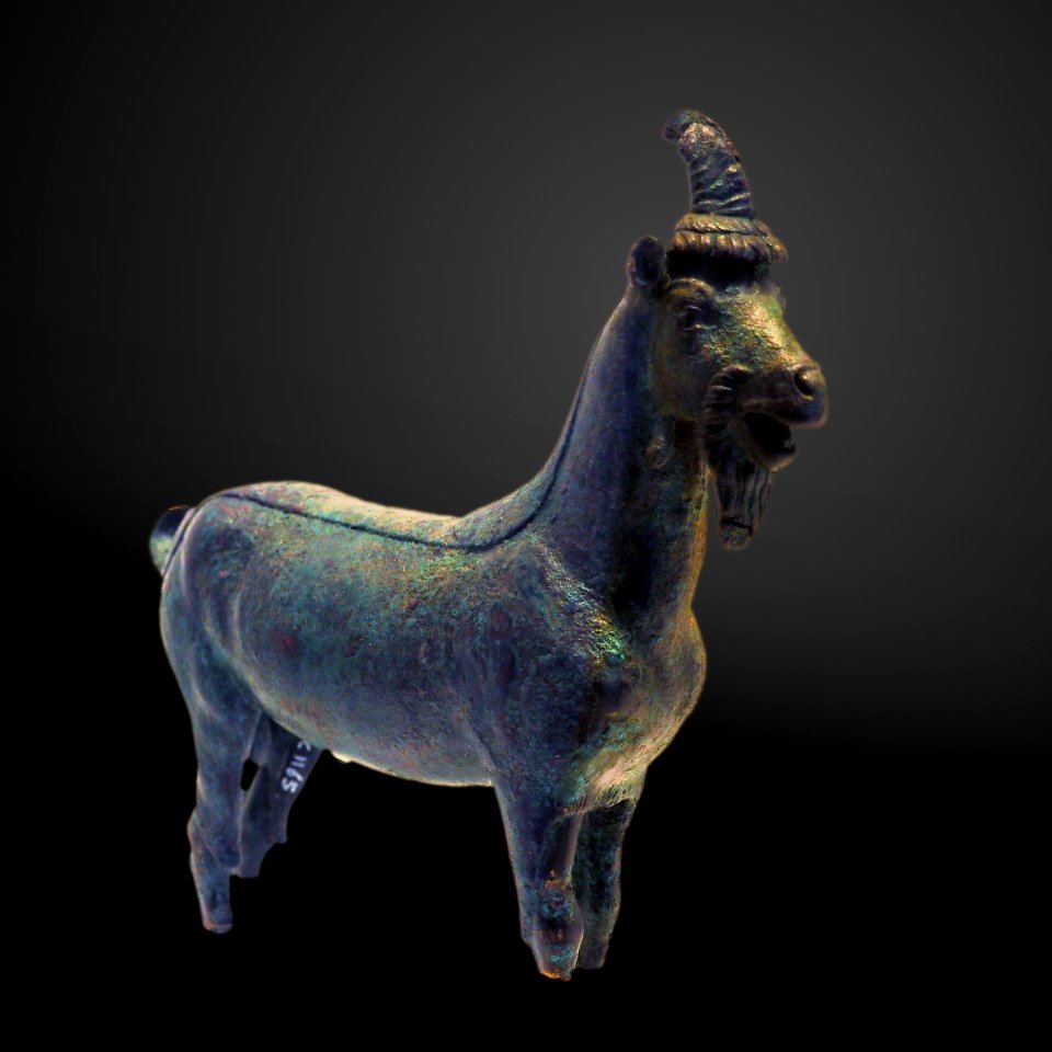 Goat-MAHG C 1165-P6130570-gradient