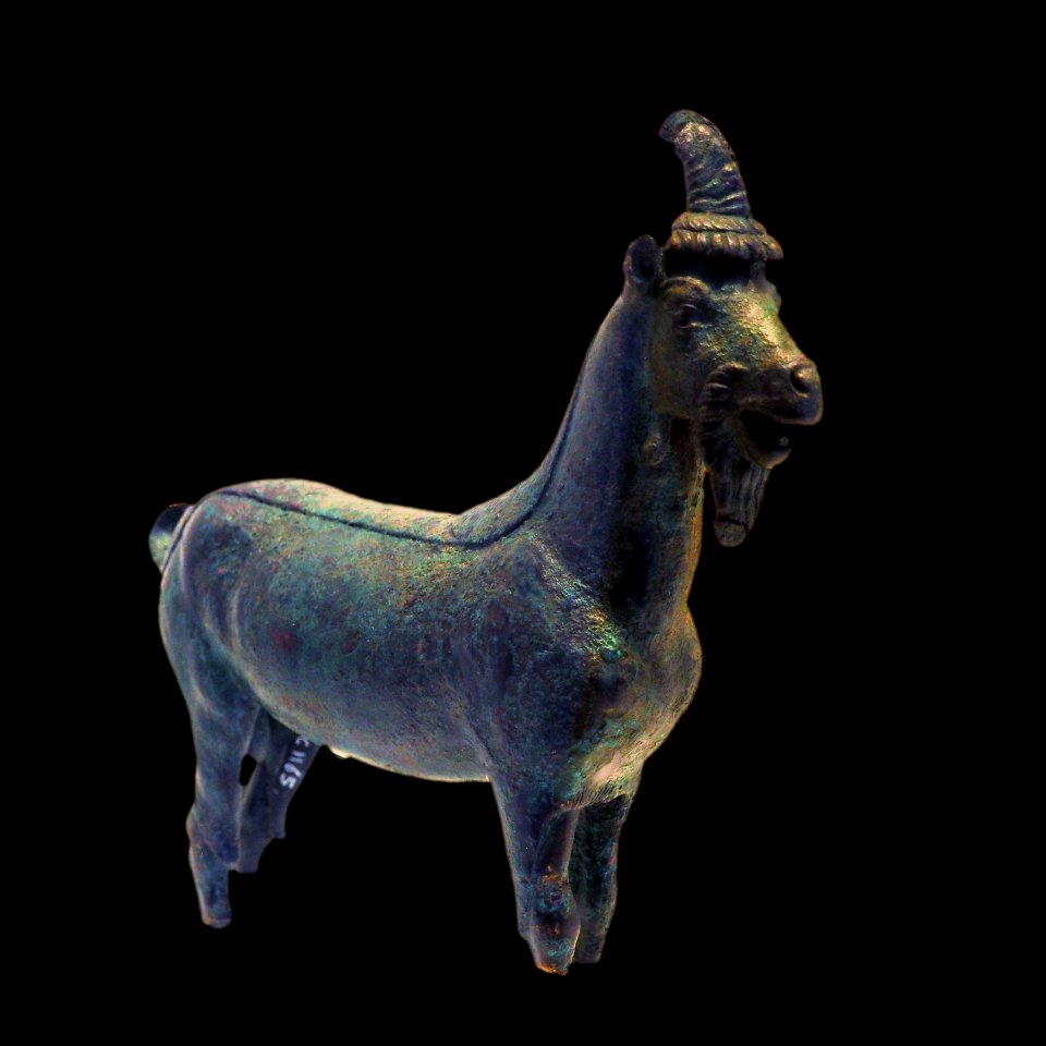Goat-MAHG C 1165-P6130570-black