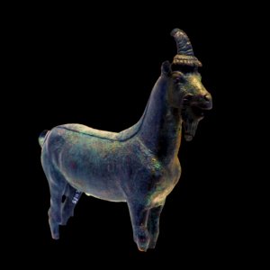 Goat-MAHG C 1165-P6130570-black