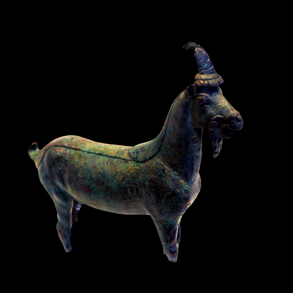 Goat-MAHG C 1165-P6130564-black